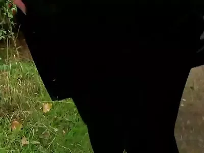 दानी डॅनियल्स आनंदातून ओरडत आहे