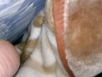 वेडसर खडबडीत पत्नी स्वयंपाकघर मध्ये shagged मिळत